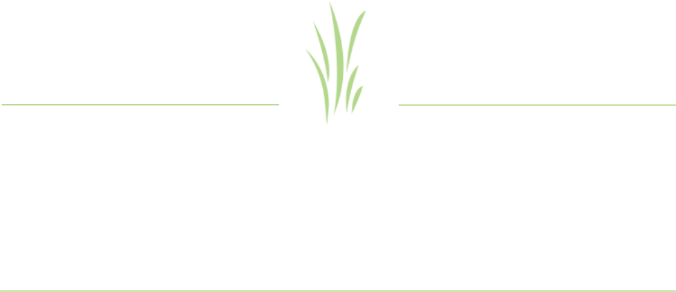 The Dentists' Office 